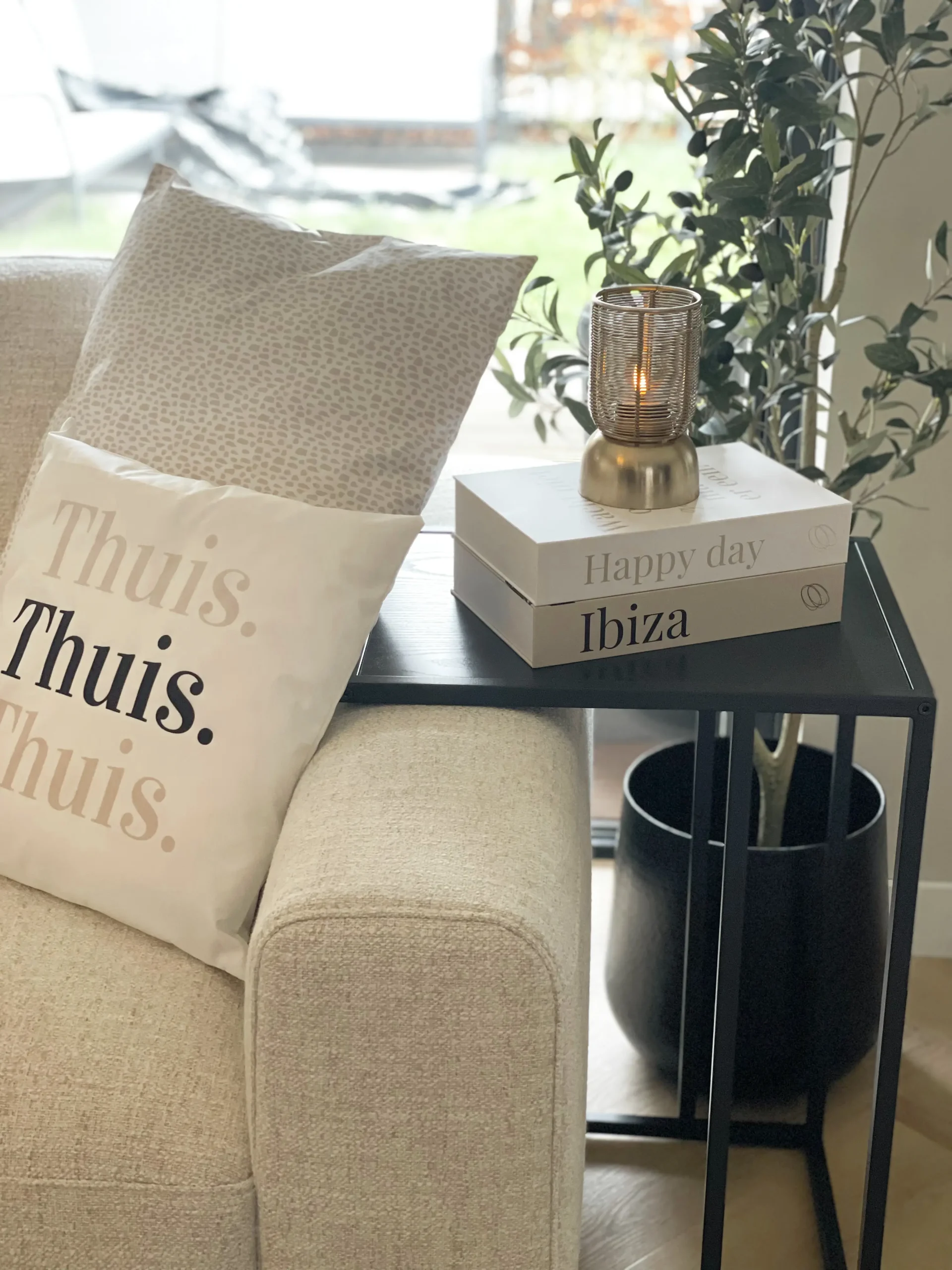 sierkussen thuis living club